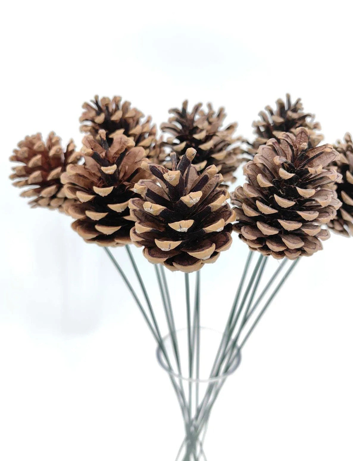 Pinecone Stick