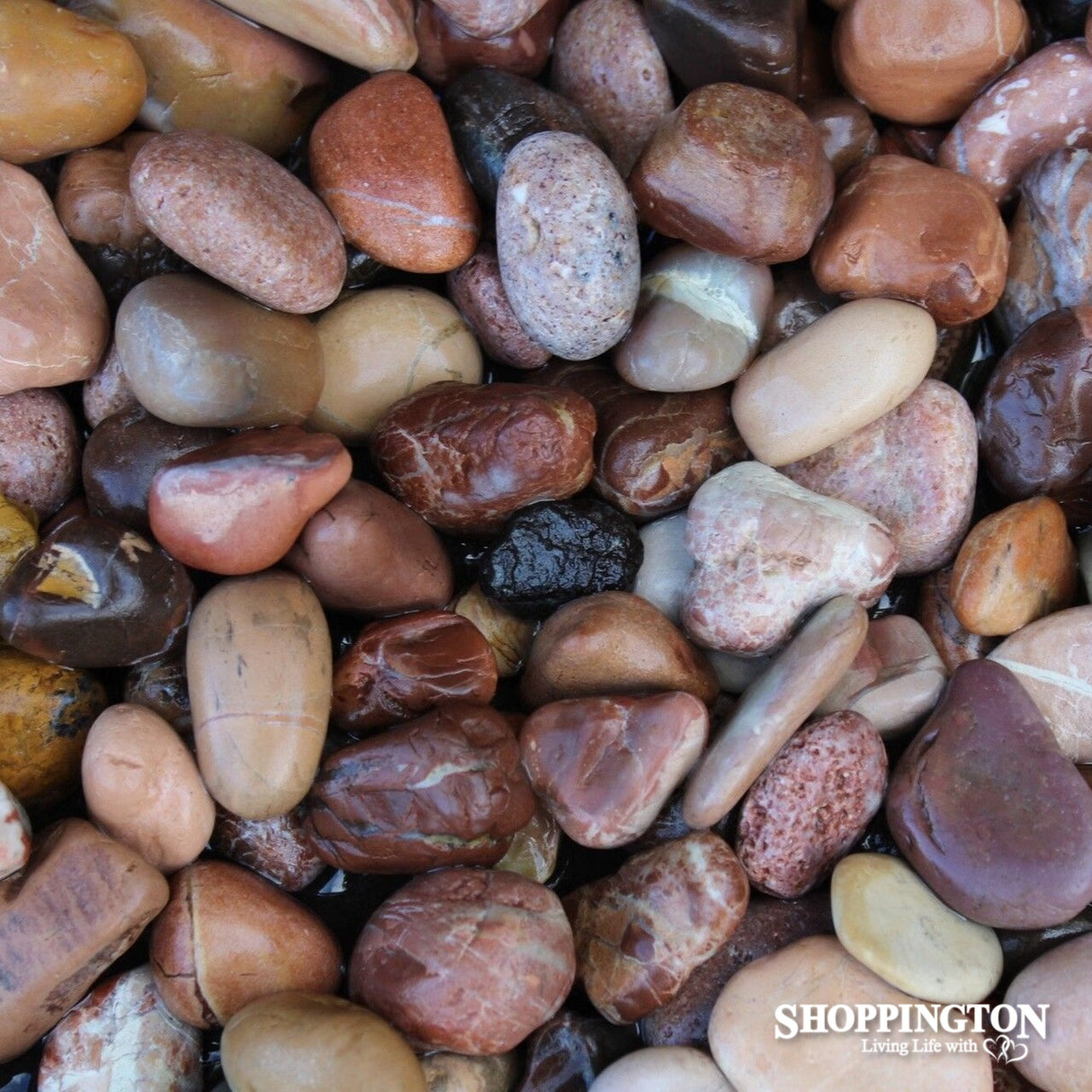 Landscape - Bag of Decorative Stones 10kg - Red Tones