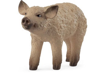 Schleich - Mangalica Piglet