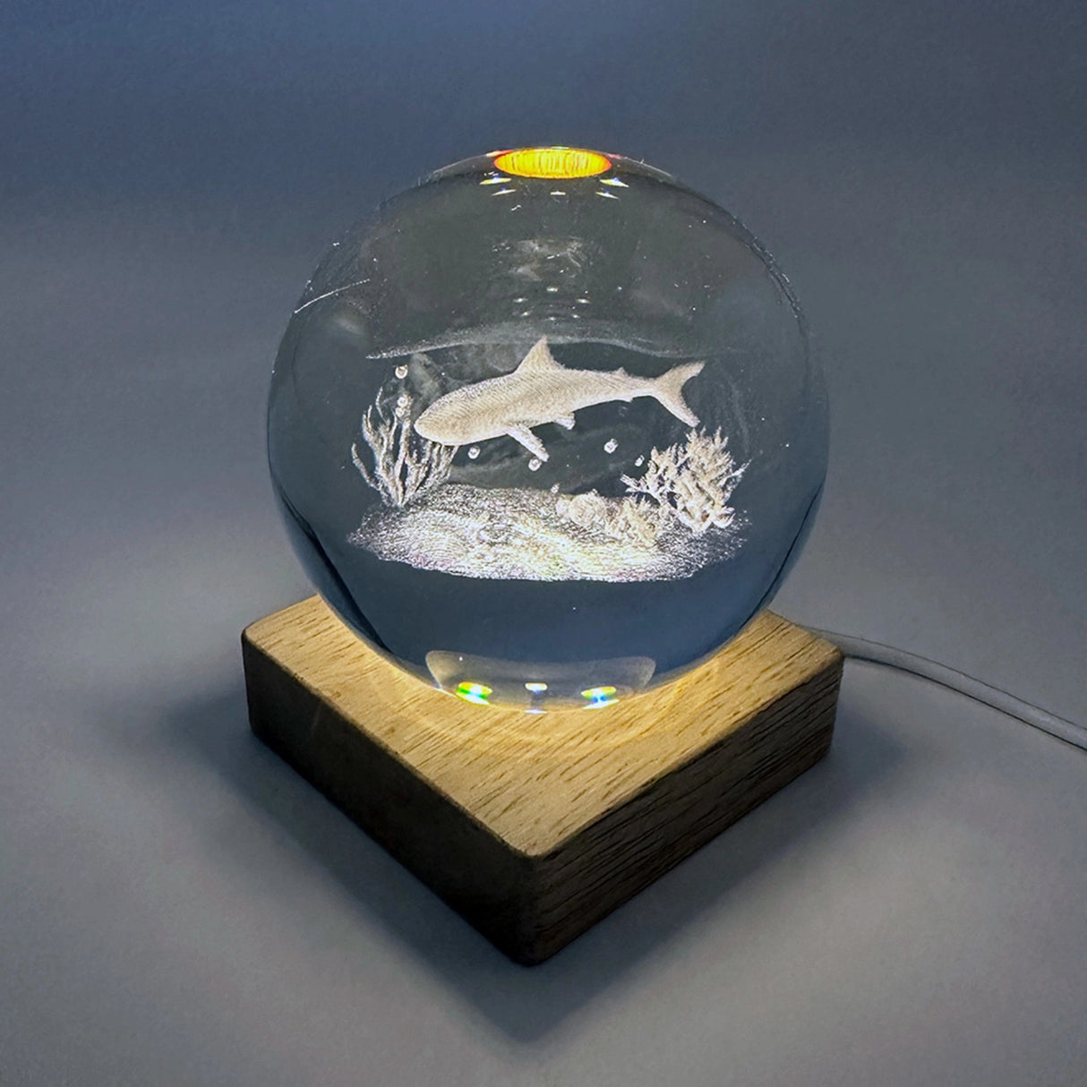 Light - Shark Crystal Ball