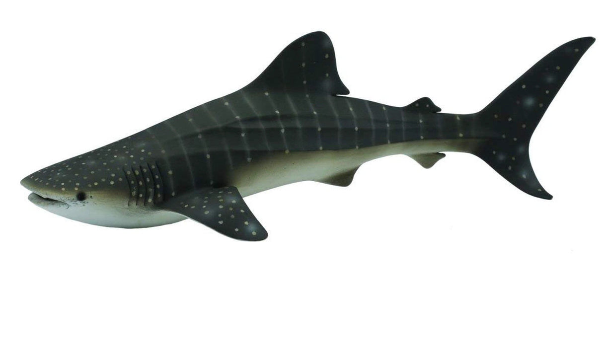Collect A - Whale Shark