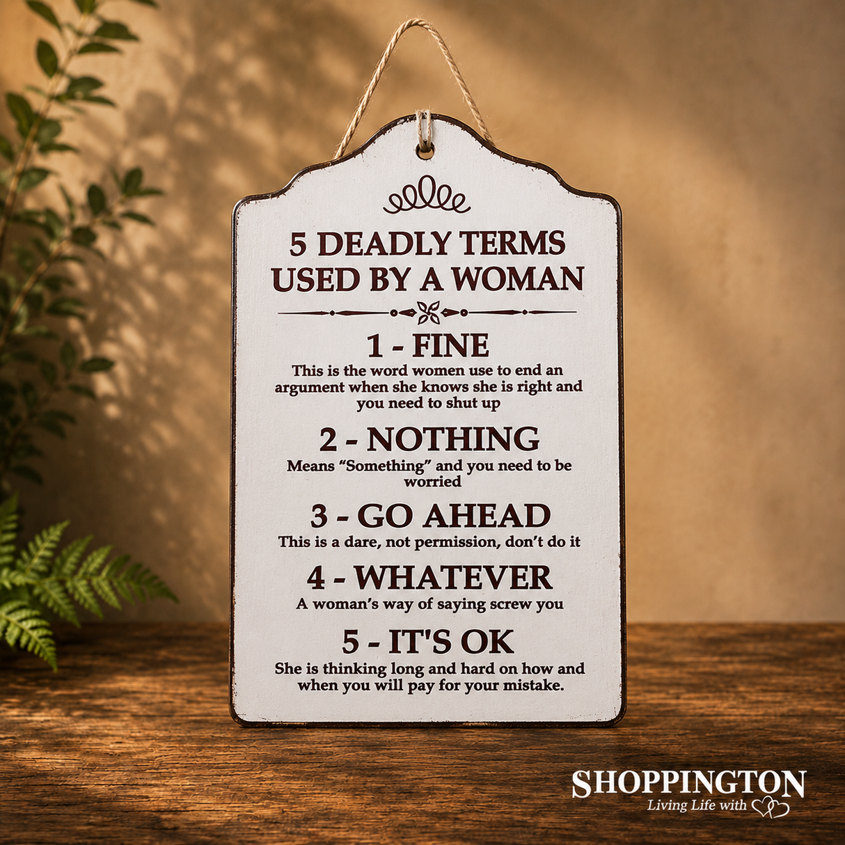 Wooden Novelty Sign - 5 Deadly Terms