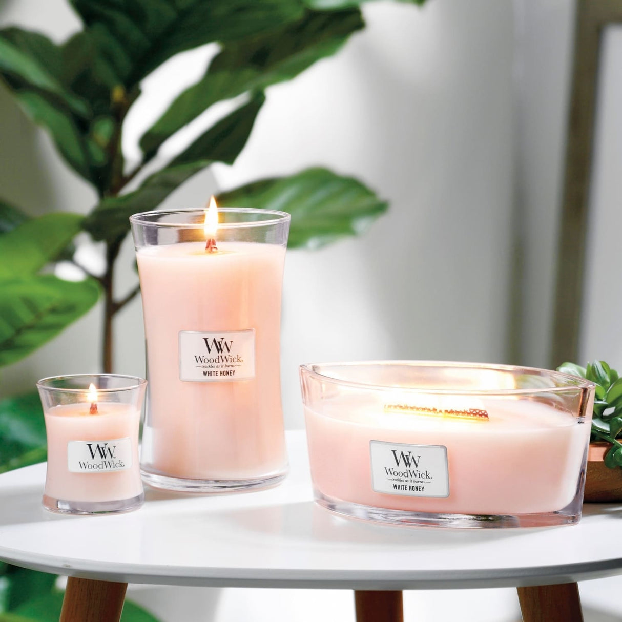 WoodWick White Honey Mini