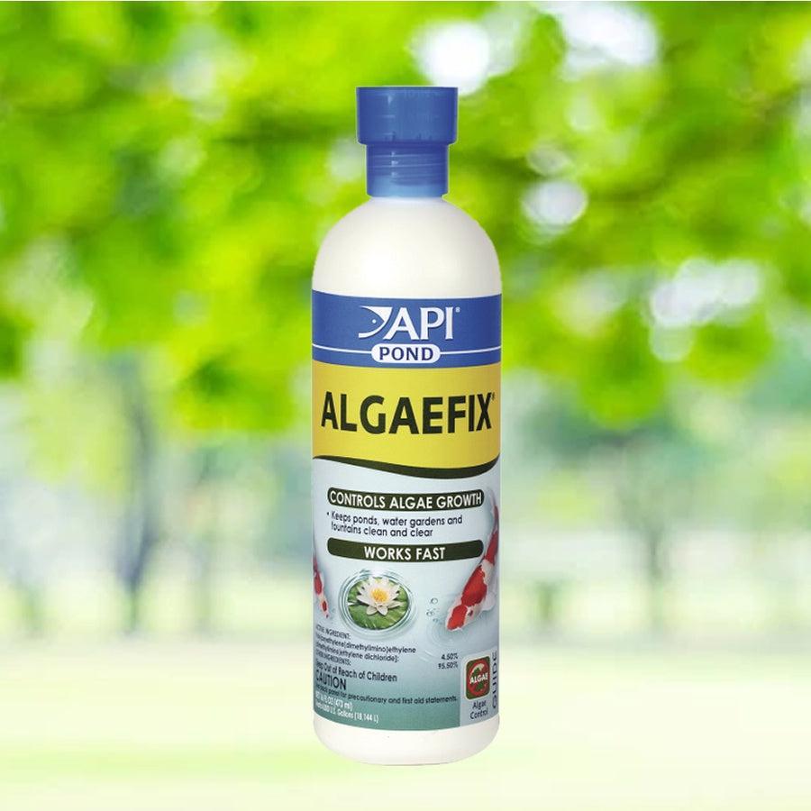 zwf API Pond - Algaefix 473ml