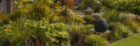 What Plants Work Best Around Water Features?