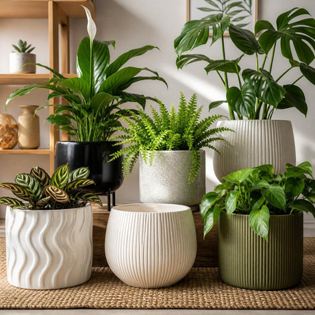 Indoor Planters