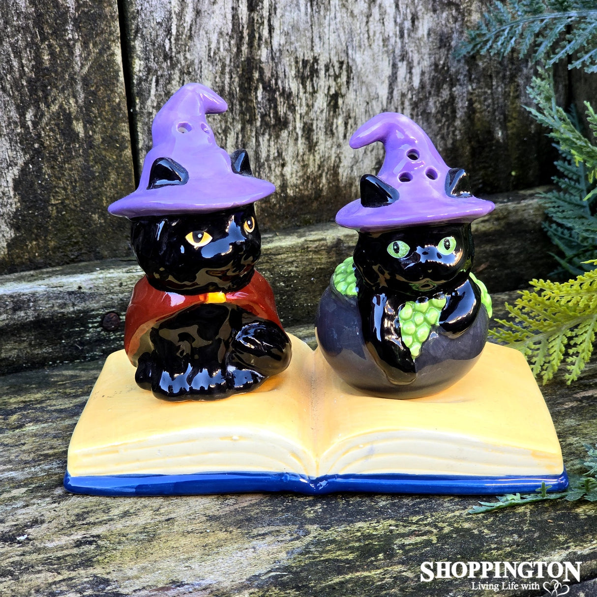 Salt & Pepper - Black Cats