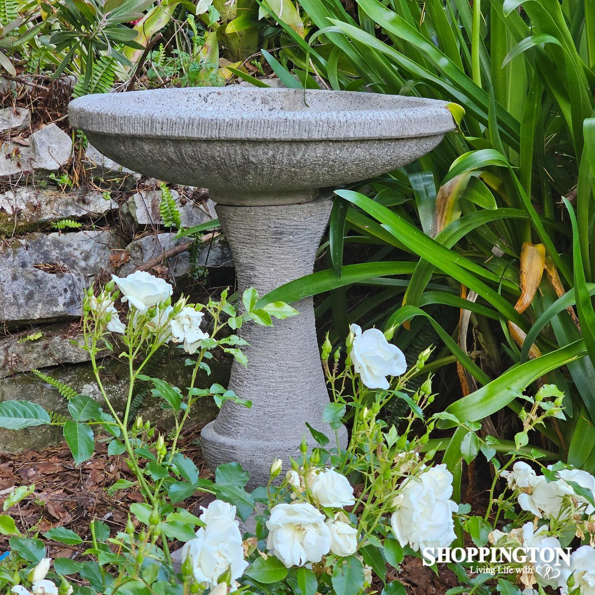 Garden Sculpture - Concrete Bird Bath 60cm