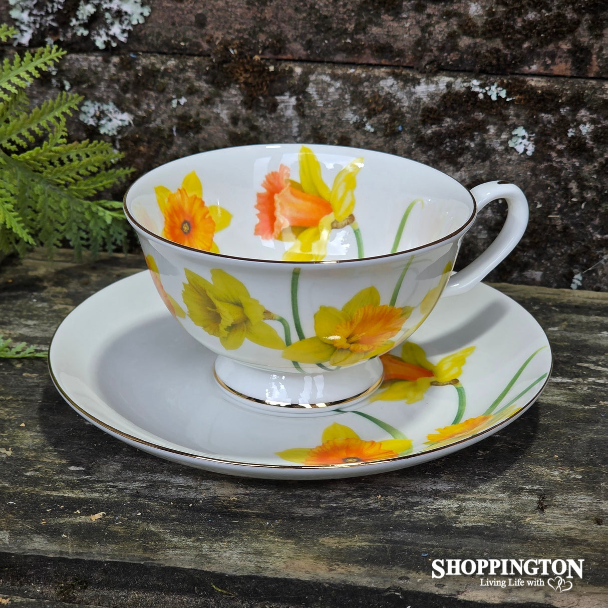 Botanical Symphony Cup & Saucer - Daffodil
