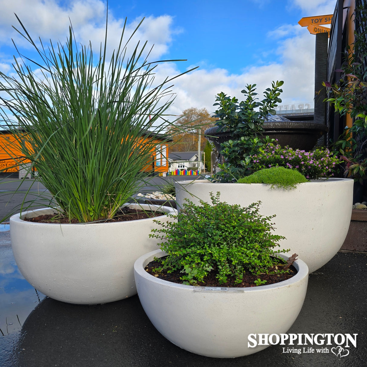 Chamber Bowl Planter (available in 3 sizes)