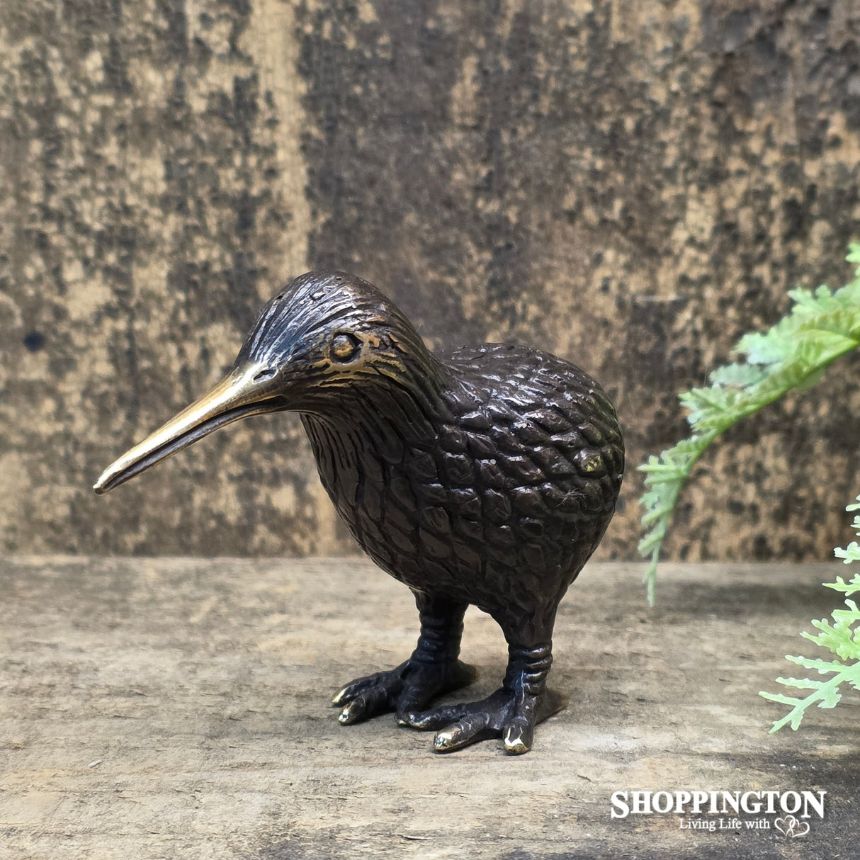 Brass / Bronze Kiwi 85mm