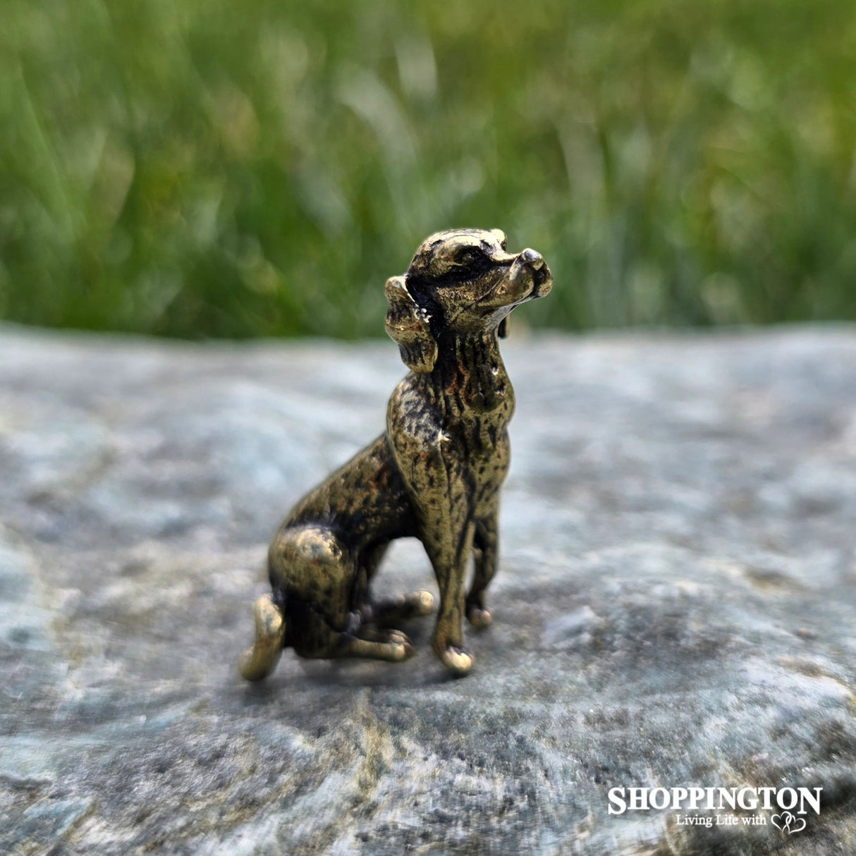 Brass Collectables - Dog Sitting