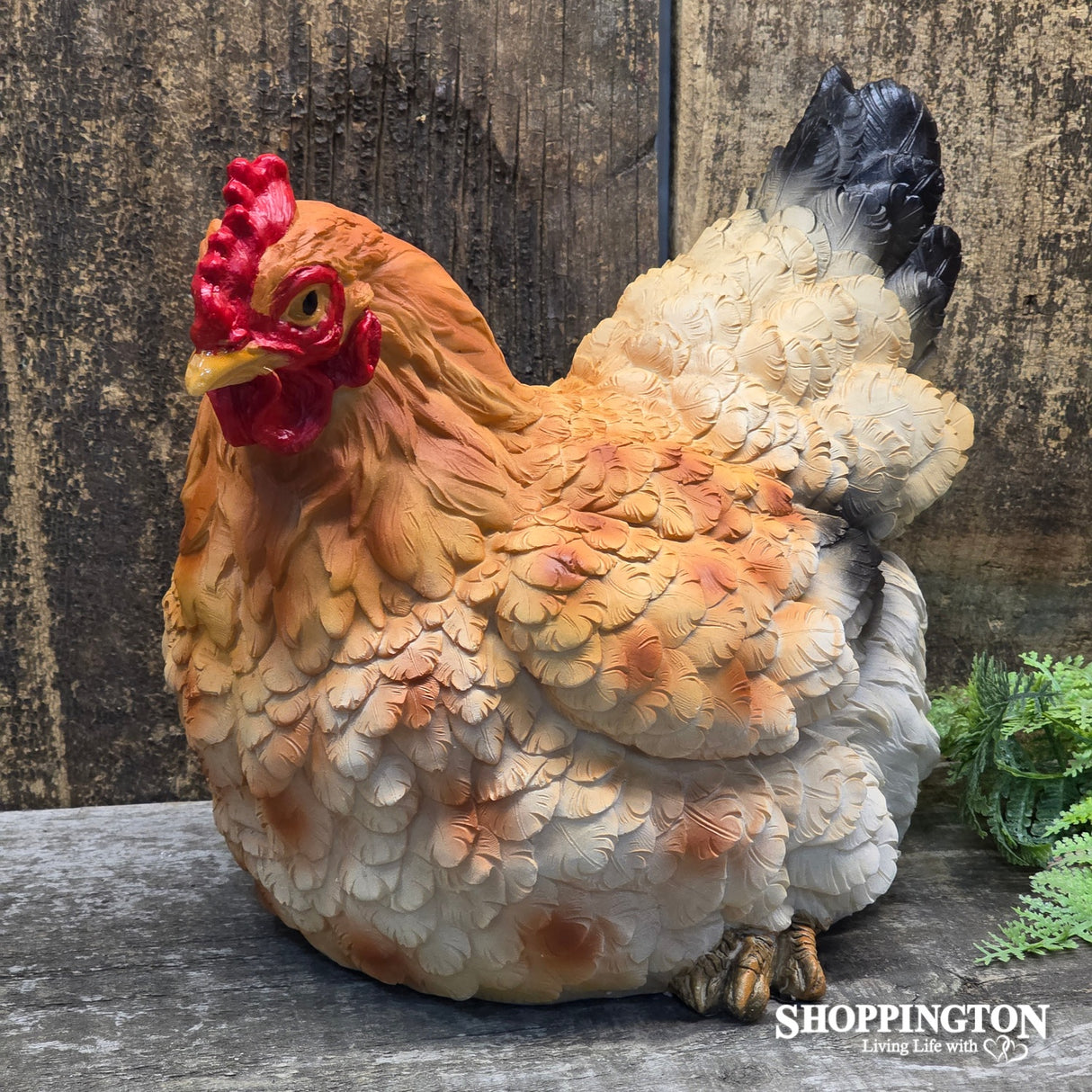 Brown Sitting Hen