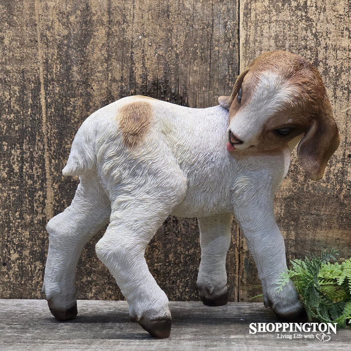 Cute Standing Goat