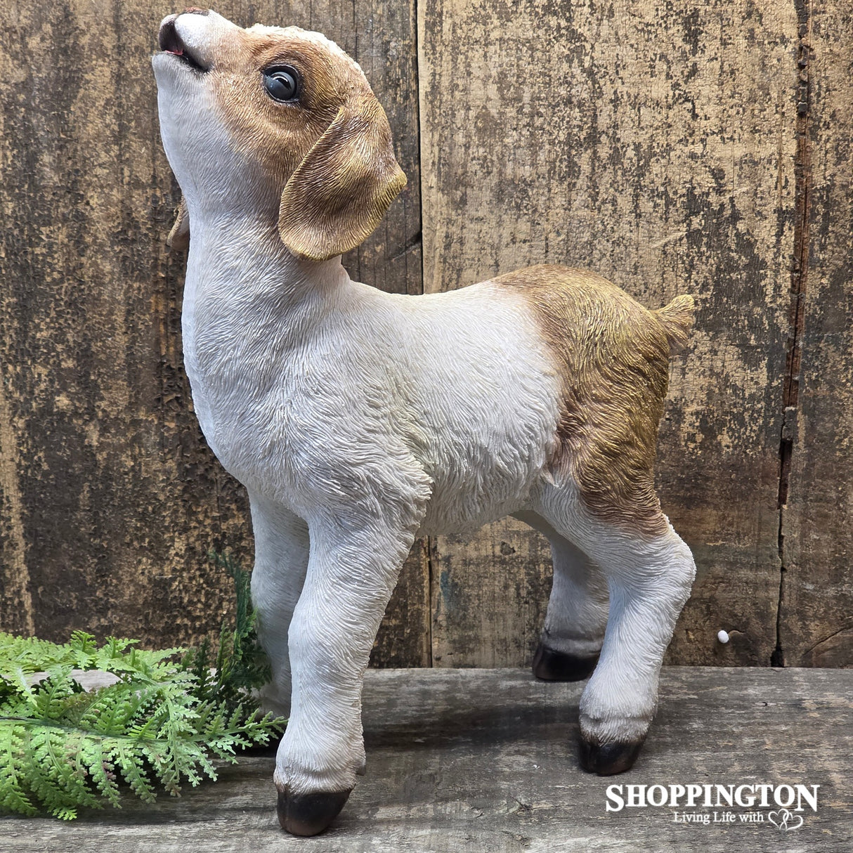 Cute Goat With Head Up