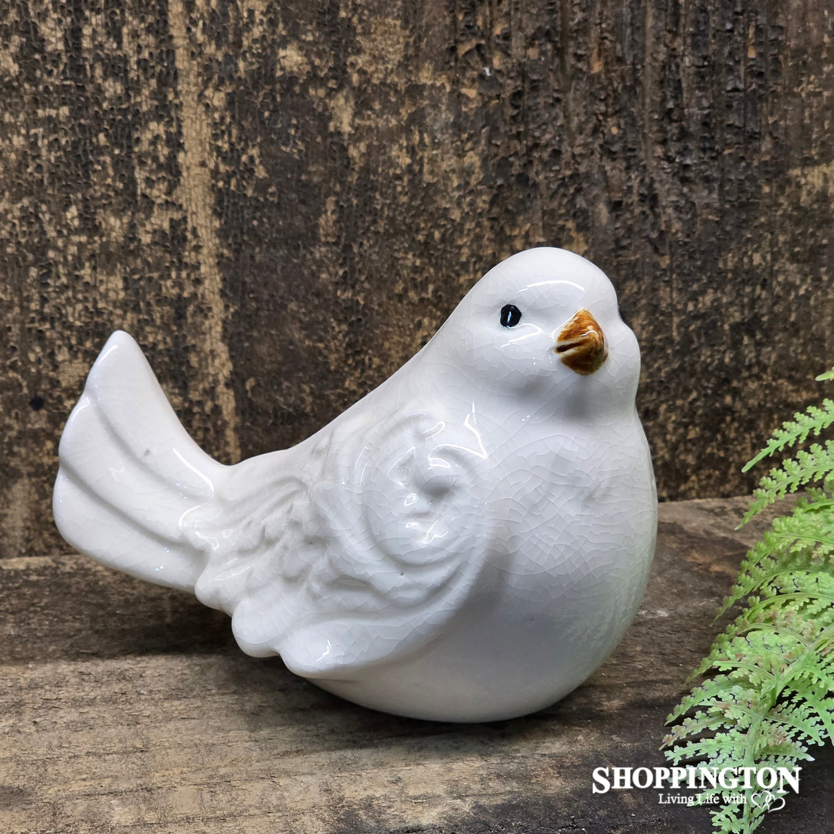 Ollie Birds White