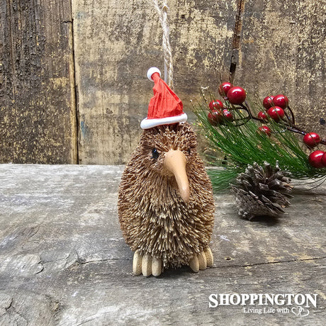Santa Hat Kiwi Deco