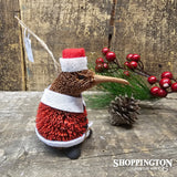 Santa Kiwi