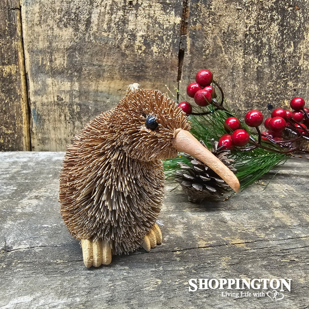 Kiwi Xmas Decoration