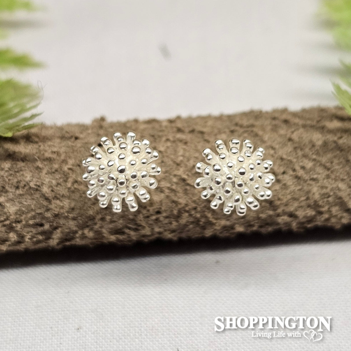 Silver Pohutukawa Studs