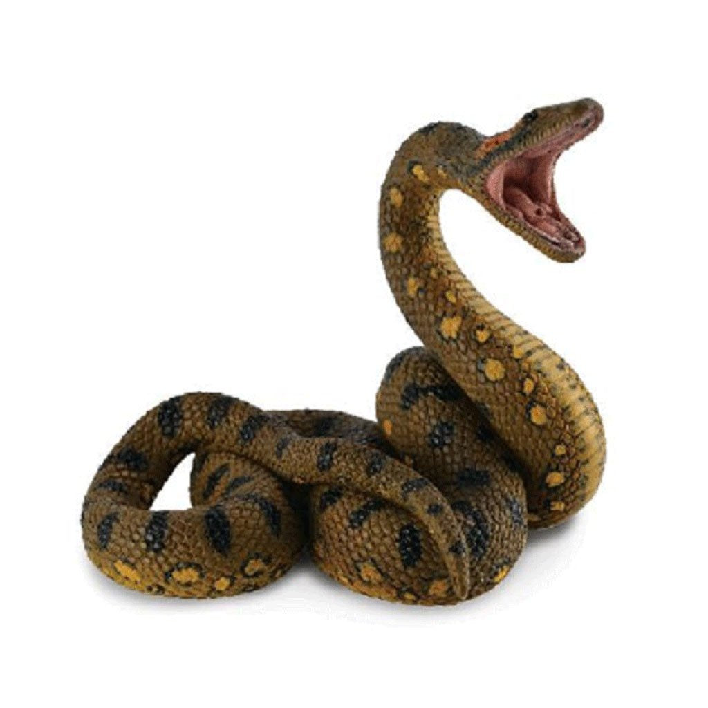 Collect A - Green Anaconda