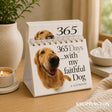 365 Days With My Faithful Dog