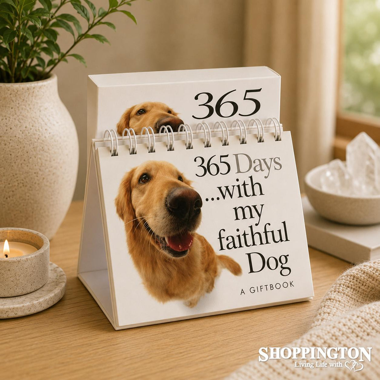 365 Days With My Faithful Dog