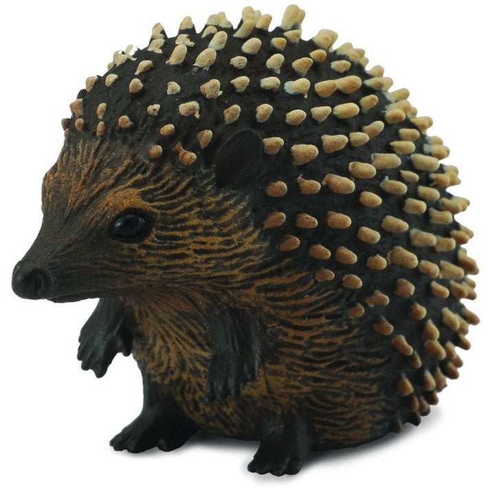 Collect A - Hedgehog