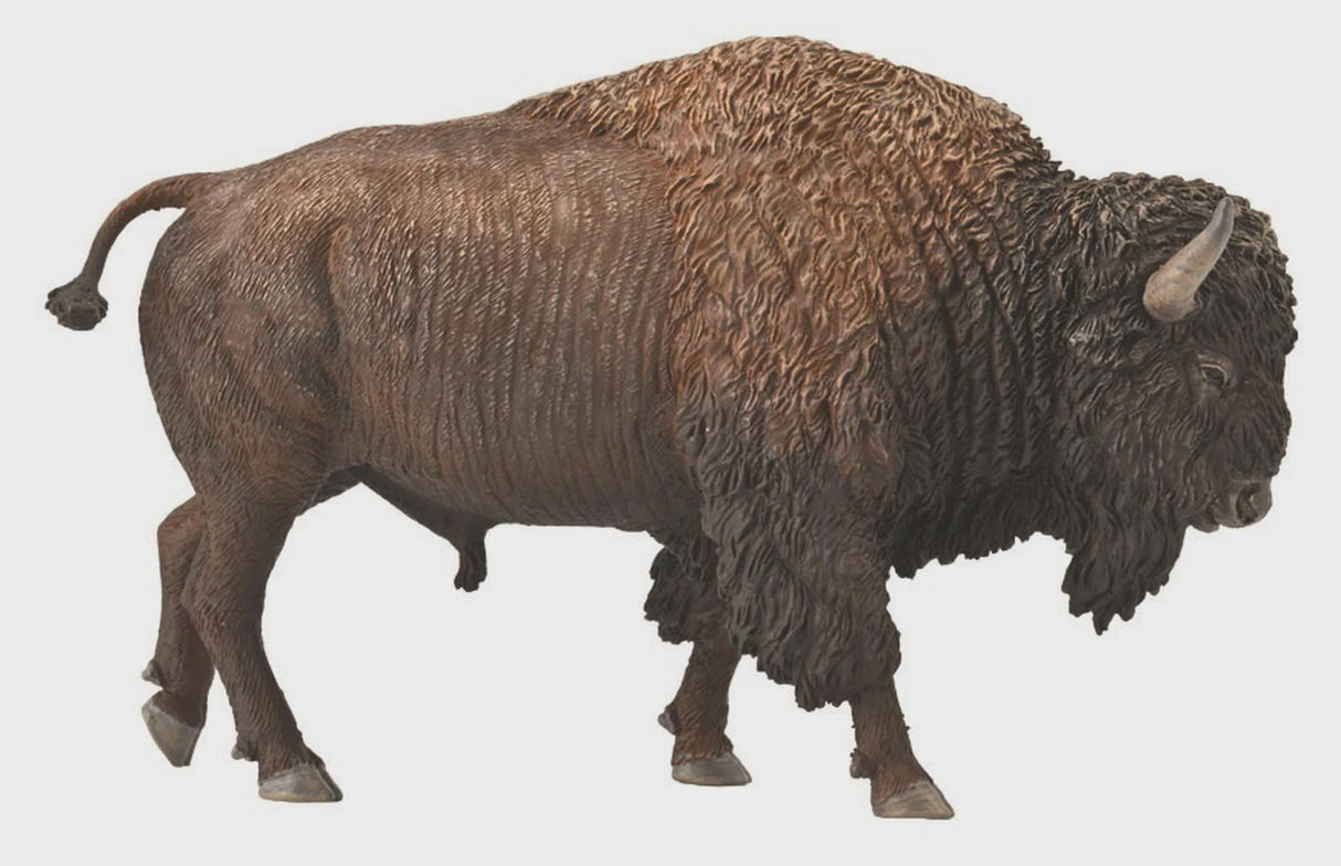 Collect A - American Bison