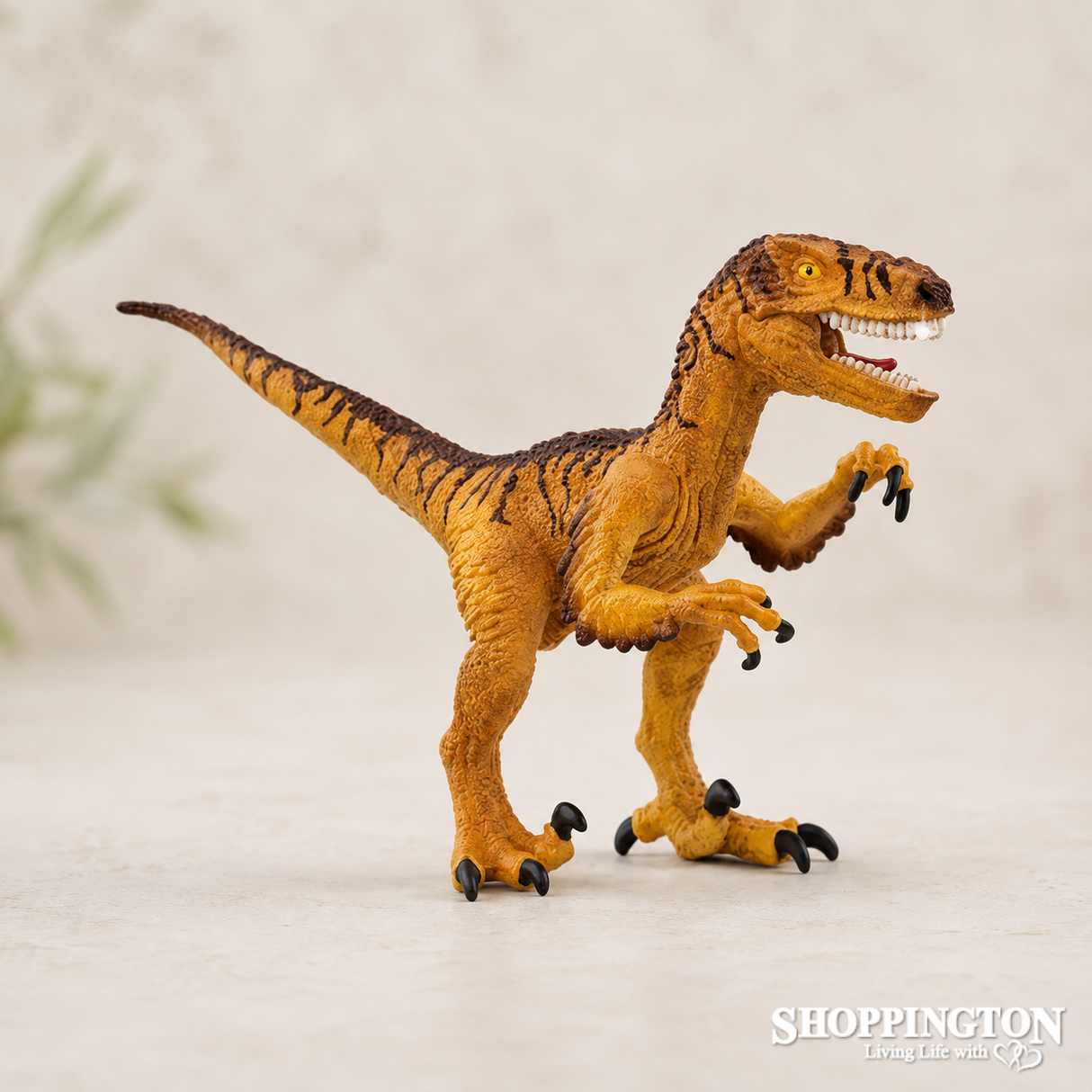 Schleich Collectable - Velociraptor 2025