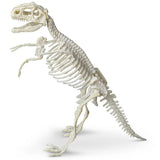 The Tyrannosaurus Fossil Paleontology Science Kit