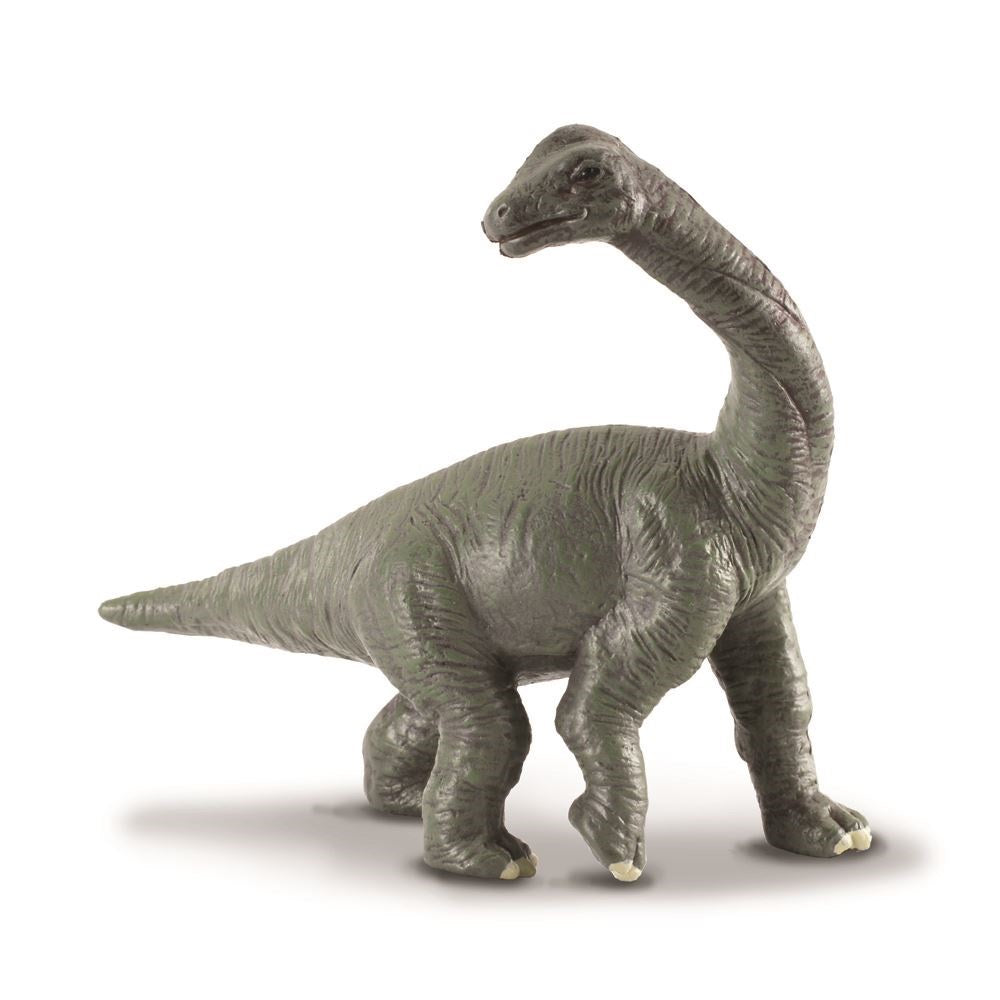 CollectA - Brachiosaurus Baby