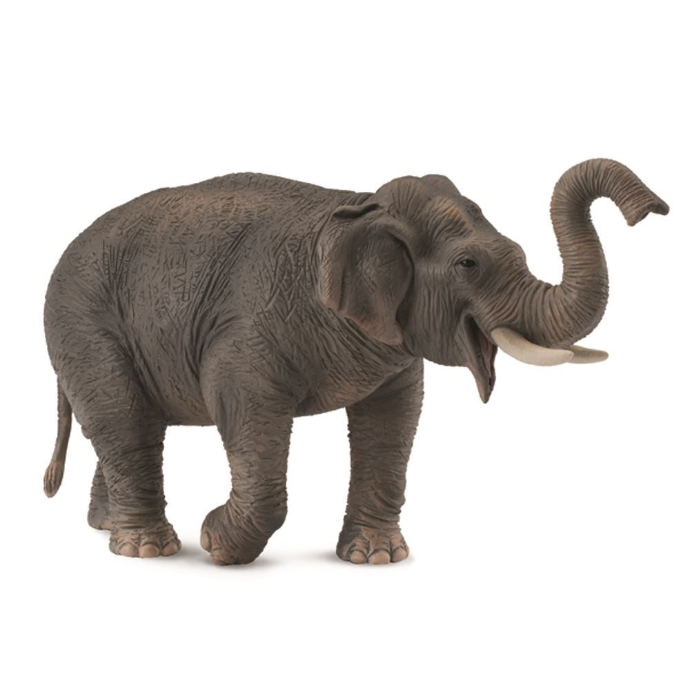 CollectA Asian Elephant main image 0