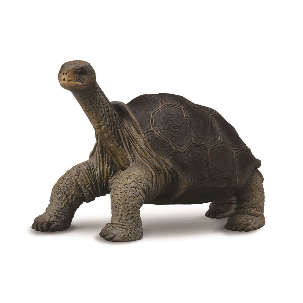CollectA - Pinta Island Tortoise George