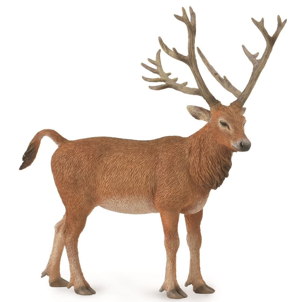 Collect A - Pere Davids Deer