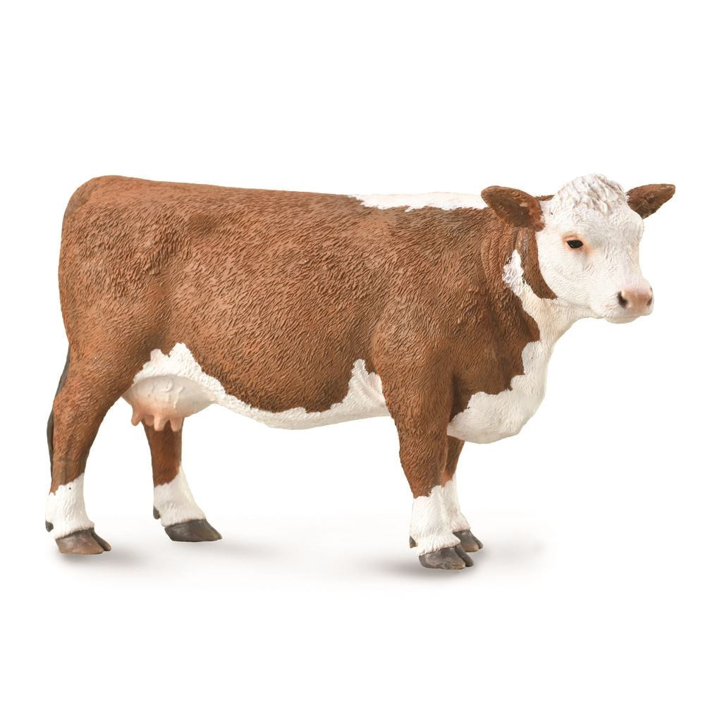 Collect A - Hereford Cow