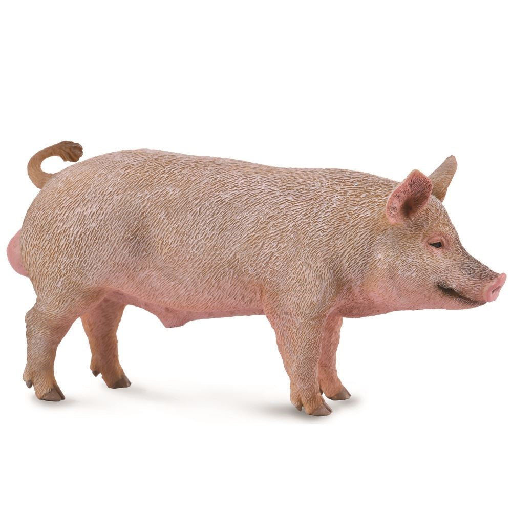CollectA - Boar