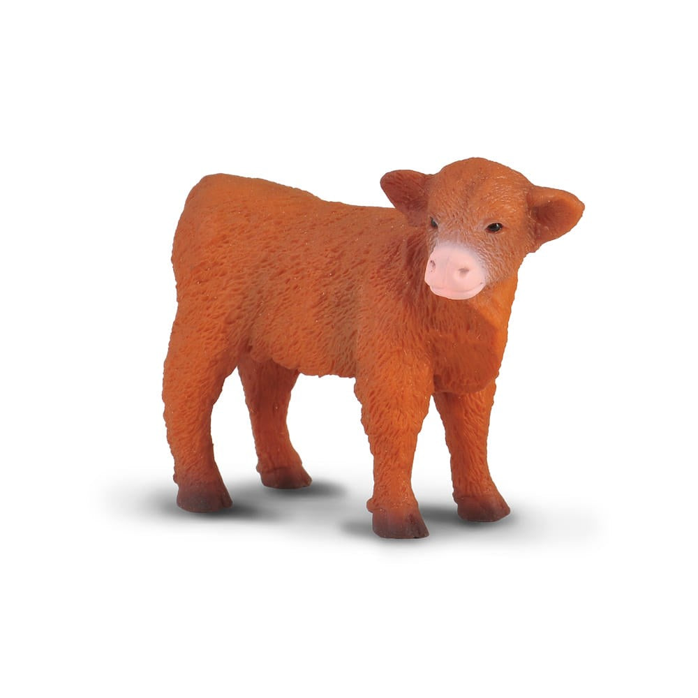 CollectA - Small Highland Calf - Standing