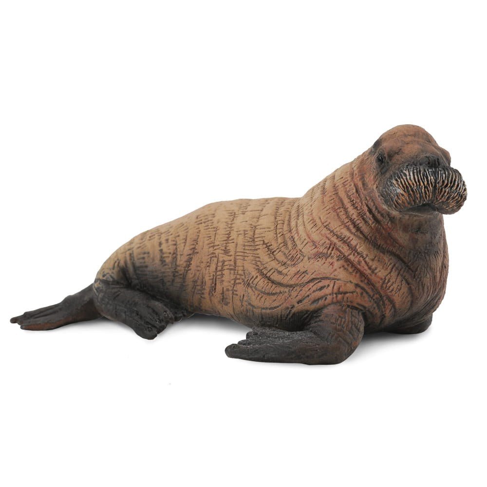 CollectA - Walrus Calf