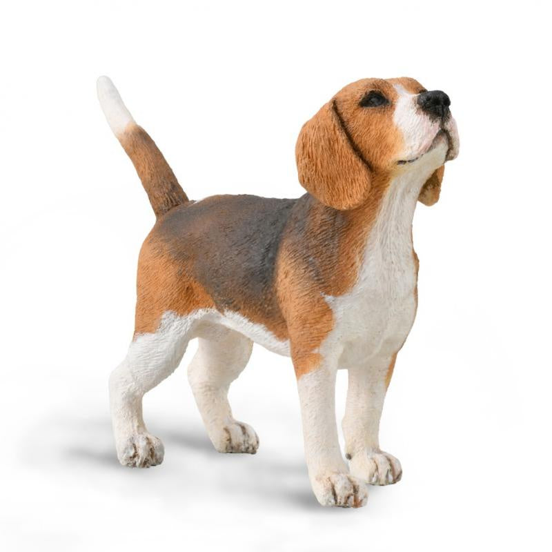 Collect A - Beagle