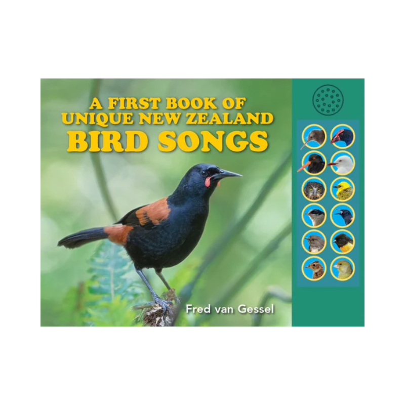 A First Book Of Unique New Zealand Bird Songs
