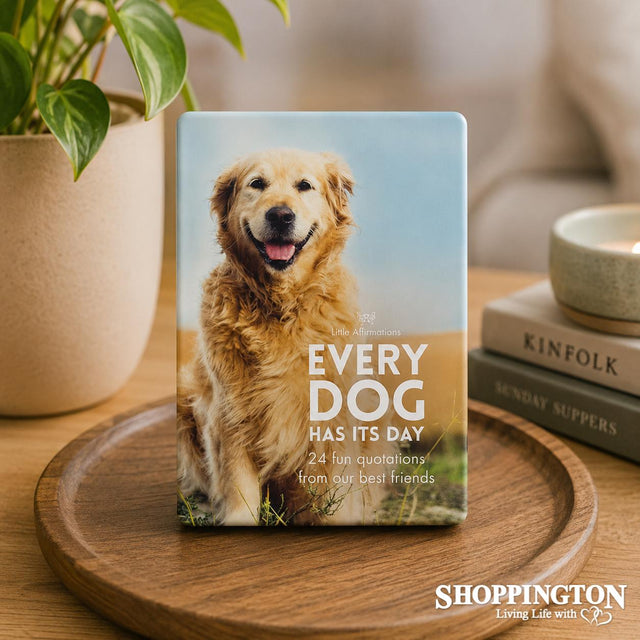 Affirmation Boxed Cards / Every Dog has it's Day