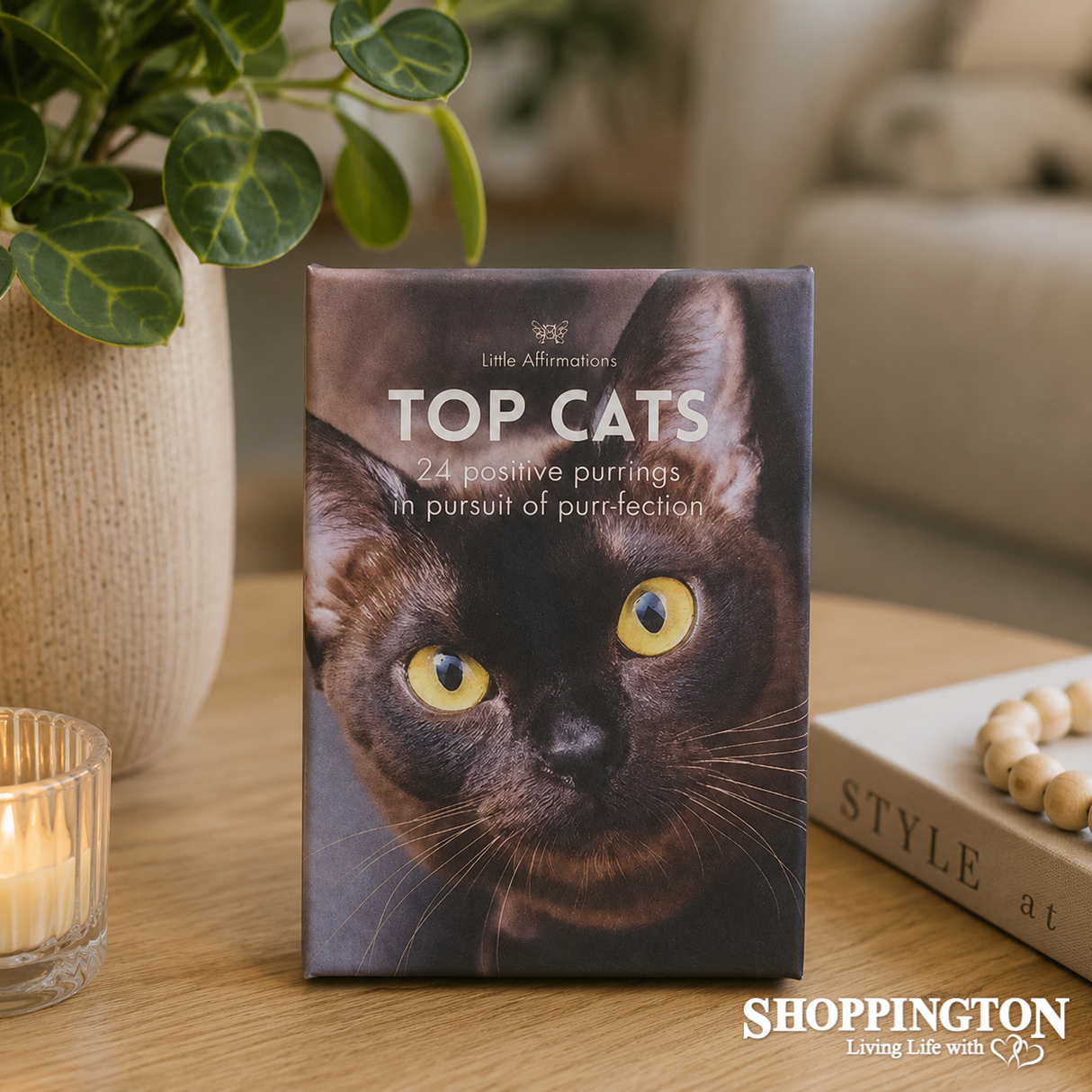 Affirmation Boxed Cards - Top Cats