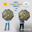 Amazing Colour Changing Umbrella - Cars