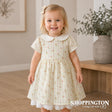 Arthur Avenue - Dusty Rose Lemon Peter Pan Dress