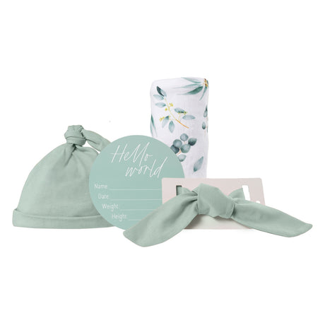 Baby Announcement Bundle - Eucalyptus