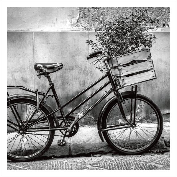 Bicycle with flowers Card