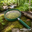 Big eye - magnifying glass