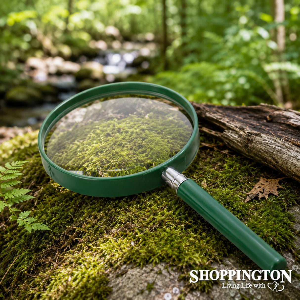 Big eye - magnifying glass