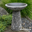 Bird Bath / Oceanic - White 55cm